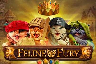 Feline Fury