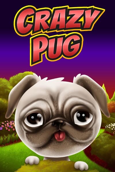 Crazy Pug