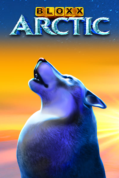 Bloxx Arctic
